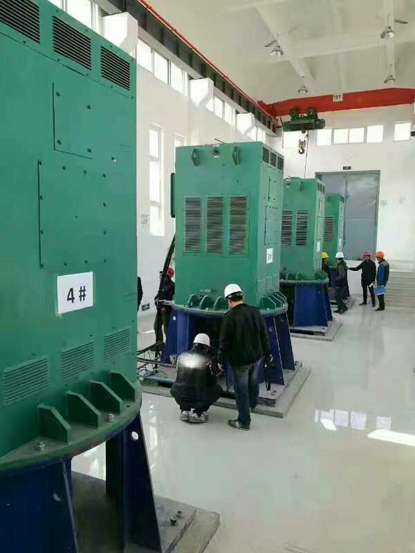 Y450-6A某污水处理厂使用我厂的立式高压电机安装现场安装尺寸