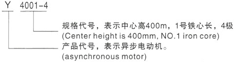 西安泰富西玛Y系列(H355-1000)高压Y450-6A三相异步电机型号说明