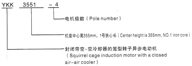 YKK系列(H355-1000)高压Y450-6A三相异步电机西安泰富西玛电机型号说明