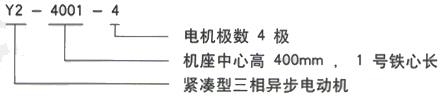 YR系列(H355-1000)高压Y450-6A三相异步电机西安西玛电机型号说明